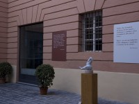 onda_6263