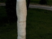 onda_6326