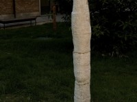 onda_6328