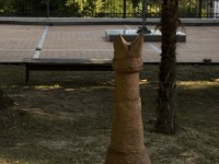onda_6339