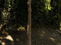 onda_6345