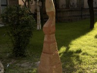 onda_6350