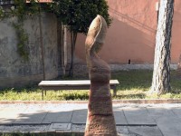 onda_6364