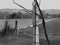 22,-Stele-dipinta,-2005-2008,-Terracotta-con-Affresco-e-Rami,-cm-240-30-30